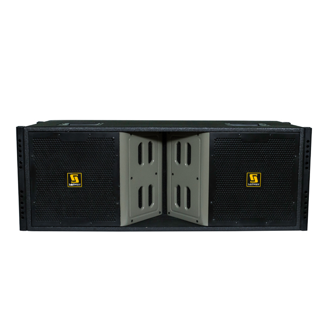 VT4888 Hệ thống âm thanh Line Array DJ 12 inch kép 12 inch