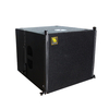 Vera S15 Single 15 inch Compact Subwaterer Bass cho các sự kiện nhỏ