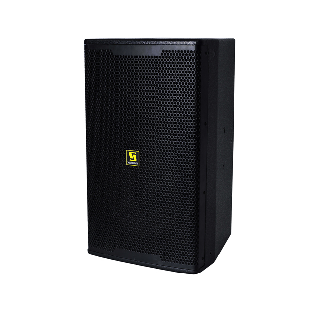 Loa DJ Karaoke di động lớn 10 inch KP610
