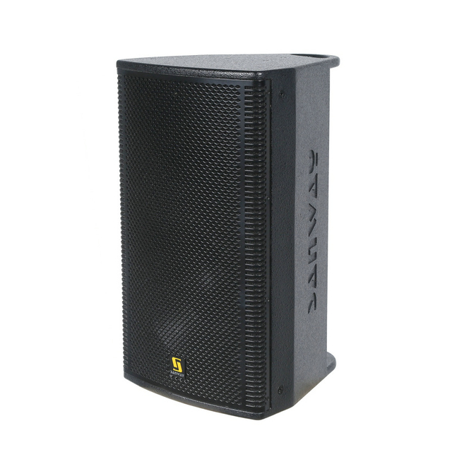 SA10 Single 10 inch Professional Active Club loa