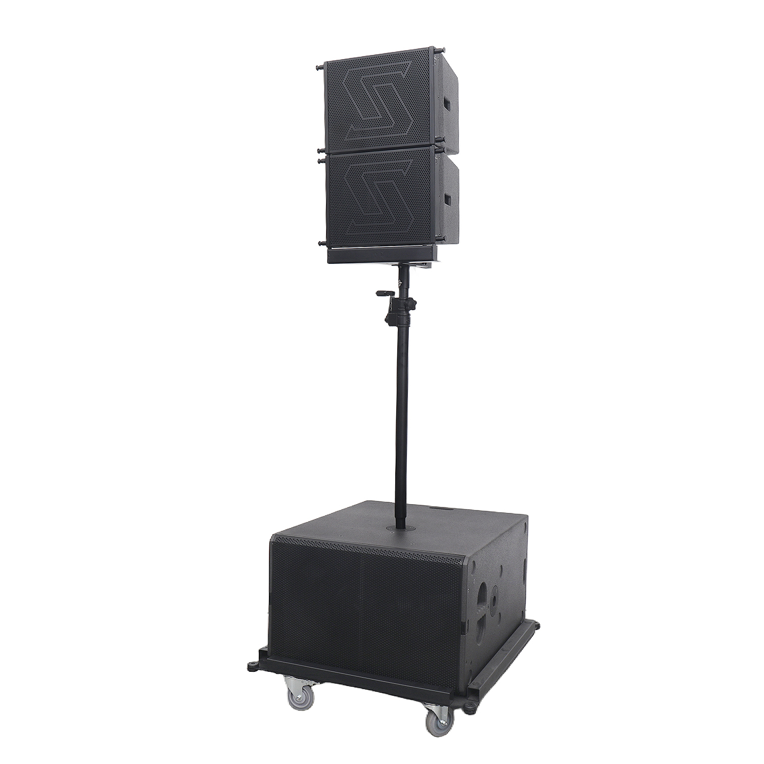CT10 & CT30P 10 inch Cocula Apessional Self Powered Line AROG