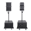 CT10 & CT30P 10 inch Cocula Apessional Self Powered Line AROG